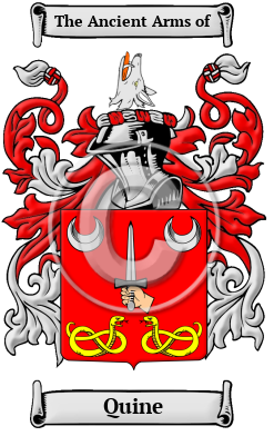 Quine Family Crest/Coat of Arms