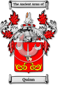 Quinn Family Crest Download (jpg) Legacy Series - 150 DPI