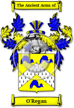 O'Regan Family Crest Download (jpg) Legacy Series - 150 DPI