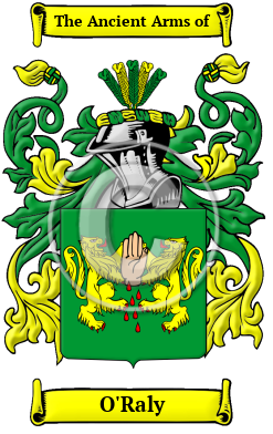 O'Raly Family Crest/Coat of Arms