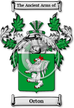 Orton Family Crest Download (JPG) Legacy Series - 600 DPI