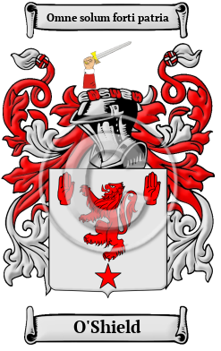 O'Shield Family Crest/Coat of Arms