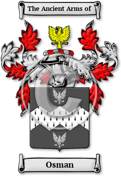 Osman Family Crest Download (JPG) Legacy Series - 600 DPI