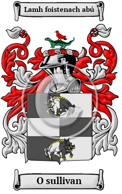 O sullivan Family Crest/Coat of Arms