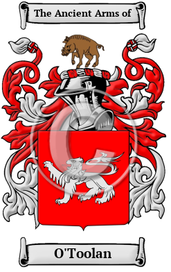 O'Toolan Family Crest/Coat of Arms