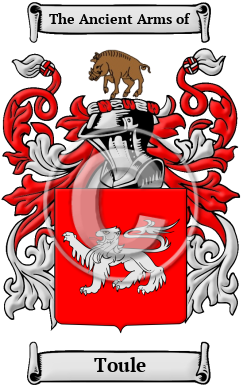 Toule Family Crest/Coat of Arms