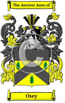 Osey Name Meaning, Family History, Family Crest & Coats of Arms