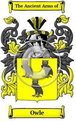 Owle Family Crest/Coat of Arms