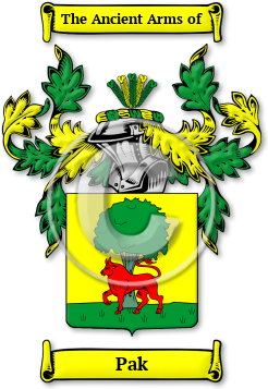 Pak Family Crest Download (jpg) Legacy Series - 150 DPI