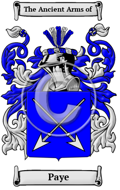 Paye Family Crest/Coat of Arms