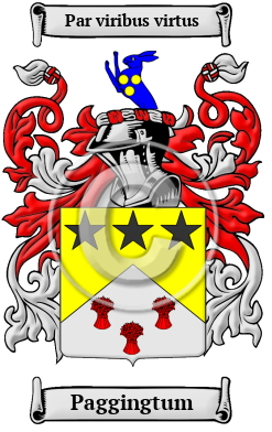 Paggingtum Family Crest/Coat of Arms