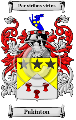 Pakinton Family Crest/Coat of Arms