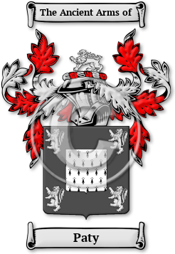 Paty Family Crest Download (jpg) Legacy Series - 150 DPI