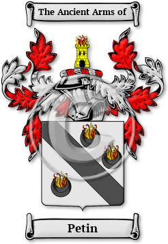 Petin Family Crest Download (jpg) Legacy Series - 150 DPI