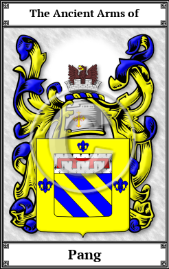 Pang Family Crest Download (JPG) Book Plated - 600 DPI