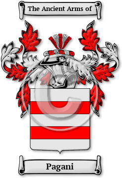 Pagani Family Crest Download (jpg) Legacy Series - 150 DPI