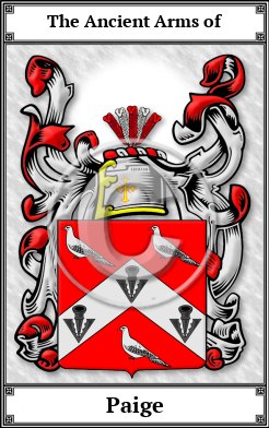 Paige Family Crest Download (JPG)  Book Plated - 150 DPI