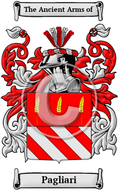 Pagliari Family Crest/Coat of Arms
