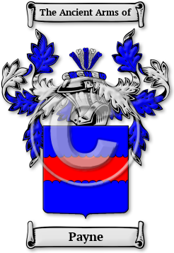 Payne Family Crest Download (jpg) Legacy Series - 150 DPI