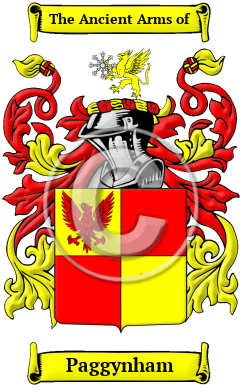 Paggynham Family Crest/Coat of Arms