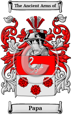 Papa Family Crest/Coat of Arms