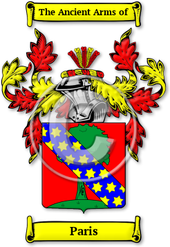 Paris Family Crest Download (jpg) Legacy Series - 150 DPI