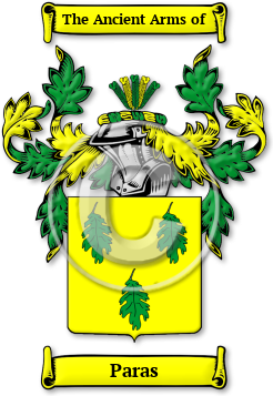 Paras Family Crest Download (jpg) Legacy Series - 150 DPI