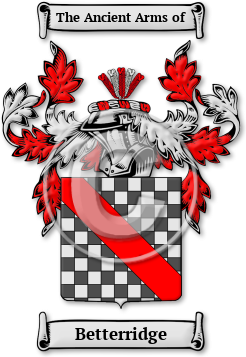Betterridge Family Crest Download (jpg) Legacy Series - 150 DPI