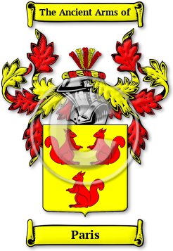 Paris Family Crest Download (jpg) Legacy Series - 150 DPI