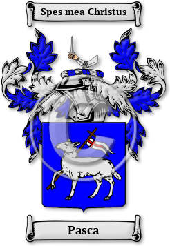 Pasca Family Crest Download (JPG) Legacy Series - 600 DPI