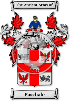 Paschale Family Crest Download (JPG) Legacy Series - 300 DPI