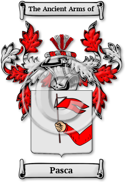 Pasca Family Crest Download (jpg) Legacy Series - 150 DPI