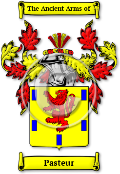 Pasteur Family Crest Download (jpg) Legacy Series - 150 DPI