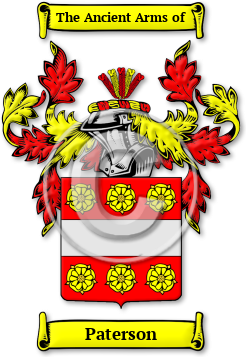 Paterson Family Crest Download (jpg) Legacy Series - 150 DPI