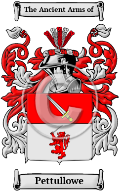 Pettullowe Family Crest/Coat of Arms