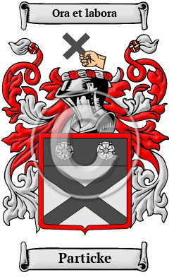 Particke Family Crest/Coat of Arms