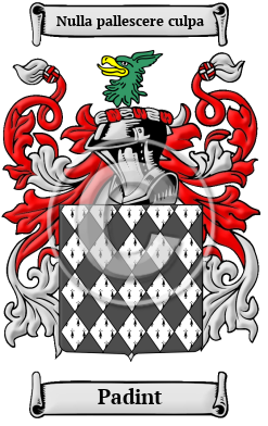 Padint Family Crest/Coat of Arms
