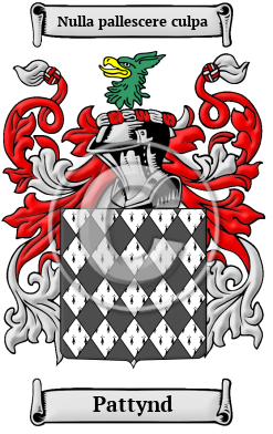 Pattynd Family Crest/Coat of Arms