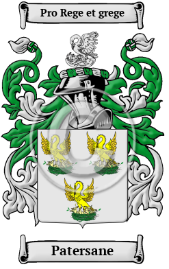 Patersane Family Crest/Coat of Arms