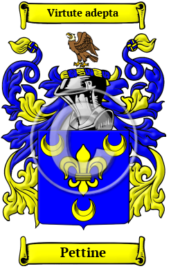 Pettine Family Crest/Coat of Arms