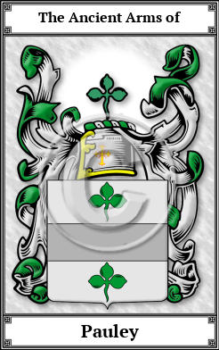 Pauley Family Crest Download (JPG)  Book Plated - 150 DPI