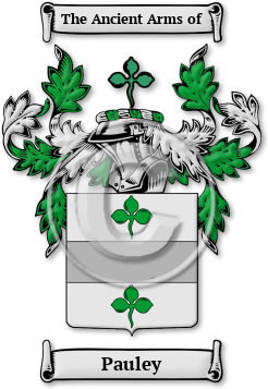 Pauley Family Crest Download (jpg) Legacy Series - 150 DPI
