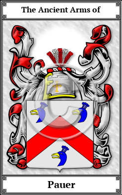 Pauer Family Crest Download (JPG)  Book Plated - 150 DPI