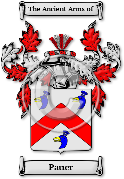 Pauer Family Crest Download (jpg) Legacy Series - 150 DPI