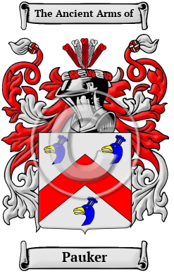 Pauker Family Crest/Coat of Arms