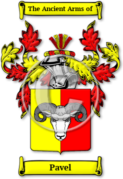 Pavel Family Crest Download (jpg) Legacy Series - 150 DPI