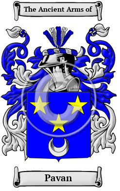 Pavan Family Crest/Coat of Arms