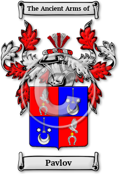 Pavlov Family Crest Download (jpg) Legacy Series - 150 DPI