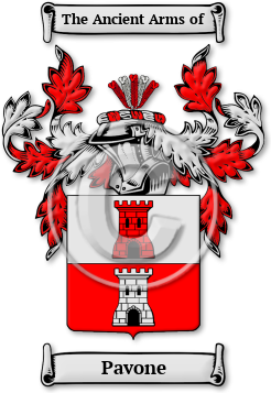 Pavone Family Crest Download (jpg) Legacy Series - 150 DPI