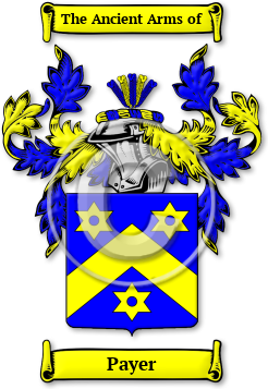 Payer Family Crest Download (jpg) Legacy Series - 150 DPI